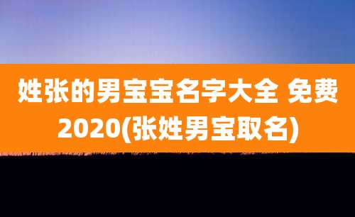 姓张的男宝宝名字大全 免费2020(张姓男宝取名)