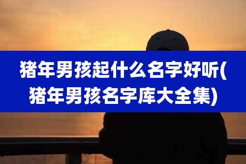 猪年男孩起什么名字好听(猪年男孩名字库大全集)