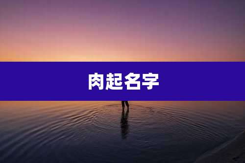 肉起名字