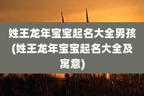 姓王龙年宝宝起名大全男孩(姓王龙年宝宝起名大全及寓意)
