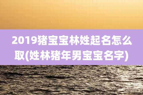 2019猪宝宝林姓起名怎么取(姓林猪年男宝宝名字)