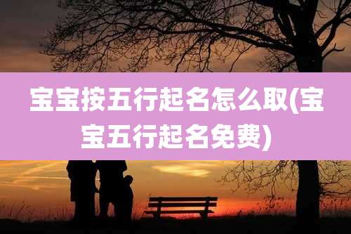 宝宝按五行起名怎么取(宝宝五行起名免费)