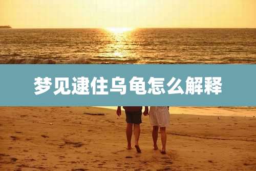 梦见逮住乌龟怎么解释