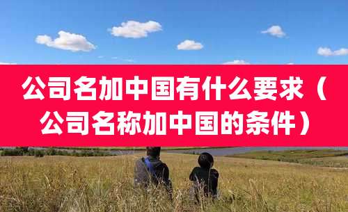 公司名加中国有什么要求（公司名称加中国的条件）