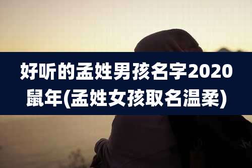 好听的孟姓男孩名字2020鼠年(孟姓女孩取名温柔)