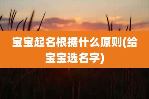 宝宝起名根据什么原则(给宝宝选名字)