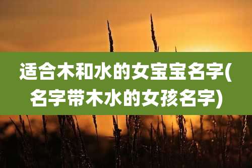 适合木和水的女宝宝名字(名字带木水的女孩名字)