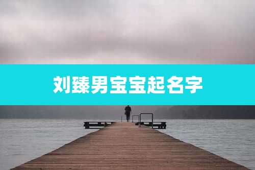 刘臻男宝宝起名字