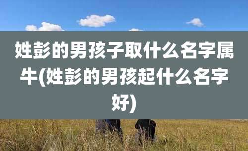 姓彭的男孩子取什么名字属牛(姓彭的男孩起什么名字好)