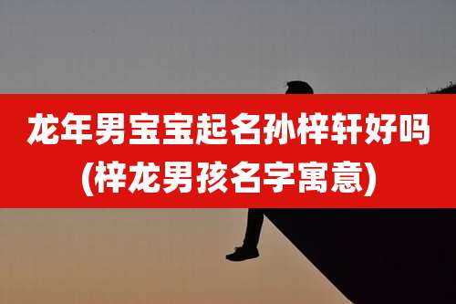 龙年男宝宝起名孙梓轩好吗(梓龙男孩名字寓意)