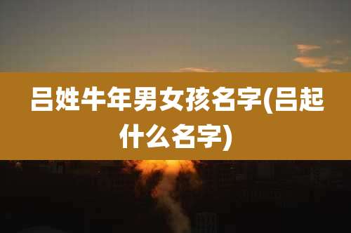 吕姓牛年男女孩名字(吕起什么名字)