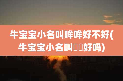 牛宝宝小名叫哞哞好不好(牛宝宝小名叫犇犇好吗)