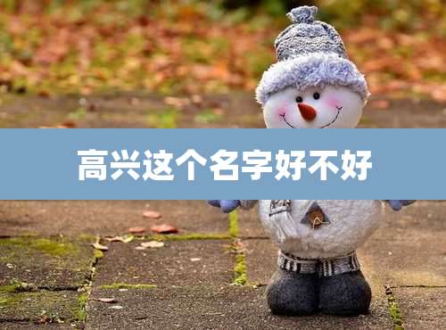 高兴这个名字好不好