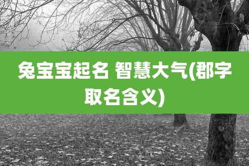 兔宝宝起名 智慧大气(郡字取名含义)