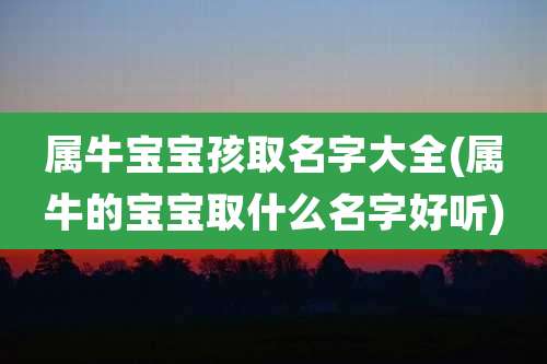 属牛宝宝孩取名字大全(属牛的宝宝取什么名字好听)