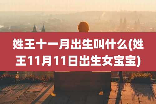 姓王十一月出生叫什么(姓王11月11日出生女宝宝)