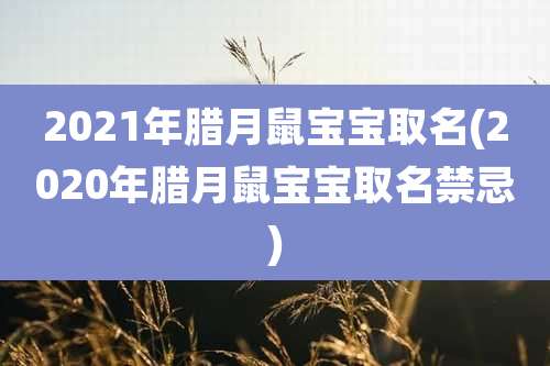 2021年腊月鼠宝宝取名(2020年腊月鼠宝宝取名禁忌)