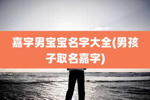 嘉字男宝宝名字大全(男孩子取名嘉字)