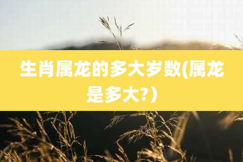 生肖属龙的多大岁数(属龙是多大?）