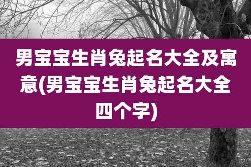 男宝宝生肖兔起名大全及寓意(男宝宝生肖兔起名大全四个字)