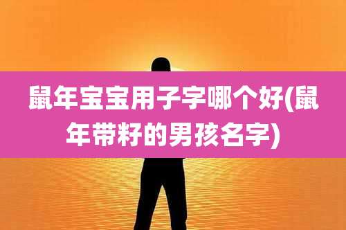 鼠年宝宝用子字哪个好(鼠年带籽的男孩名字)
