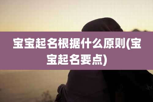 宝宝起名根据什么原则(宝宝起名要点)