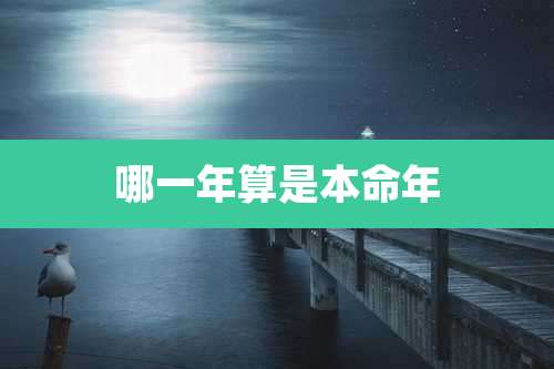 哪一年算是本命年