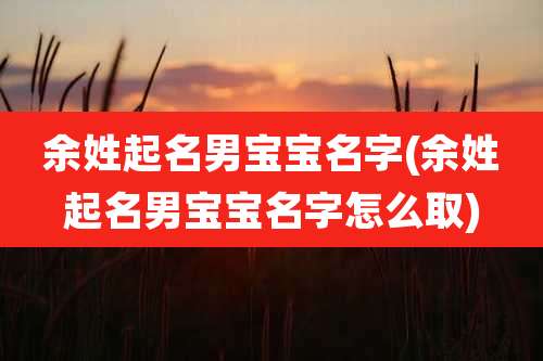 余姓起名男宝宝名字(余姓起名男宝宝名字怎么取)