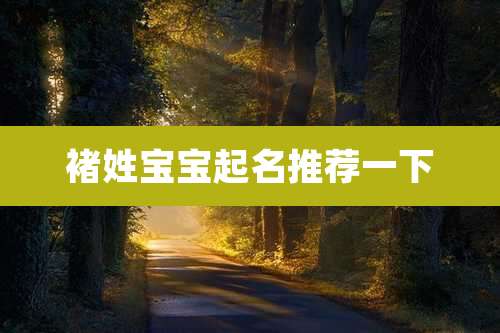 褚姓宝宝起名推荐一下