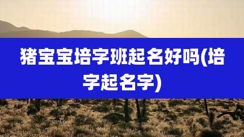 猪宝宝培字班起名好吗(培字起名字)