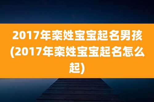 2017年栾姓宝宝起名男孩(2017年栾姓宝宝起名怎么起)