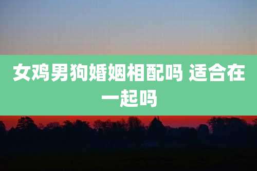女鸡男狗婚姻相配吗 适合在一起吗