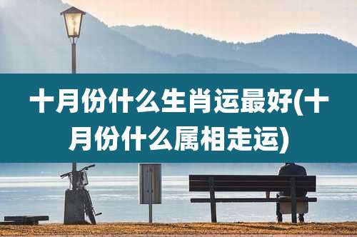 十月份什么生肖运最好(十月份什么属相走运)
