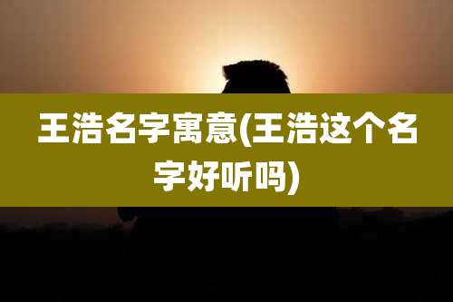 王浩名字寓意(王浩这个名字好听吗)