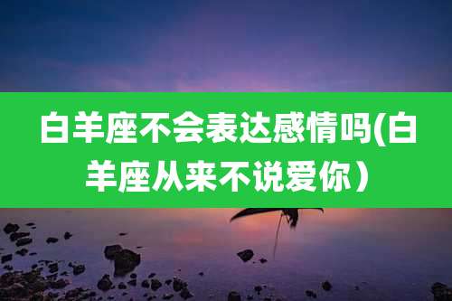 白羊座不会表达感情吗(白羊座从来不说爱你)