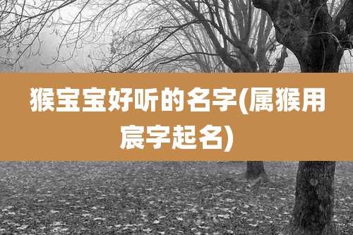 猴宝宝好听的名字(属猴用宸字起名)