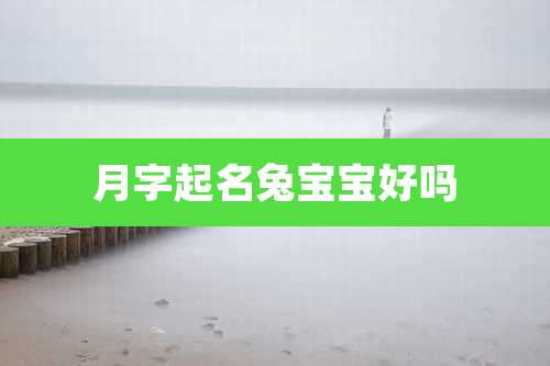月字起名兔宝宝好吗