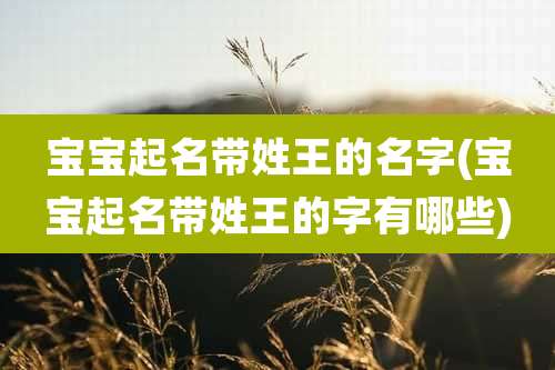 宝宝起名带姓王的名字(宝宝起名带姓王的字有哪些)