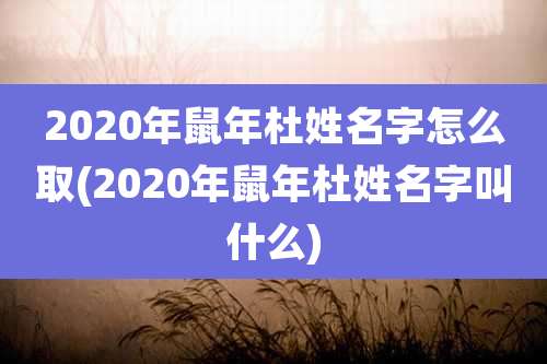 2020年鼠年杜姓名字怎么取(2020年鼠年杜姓名字叫什么)