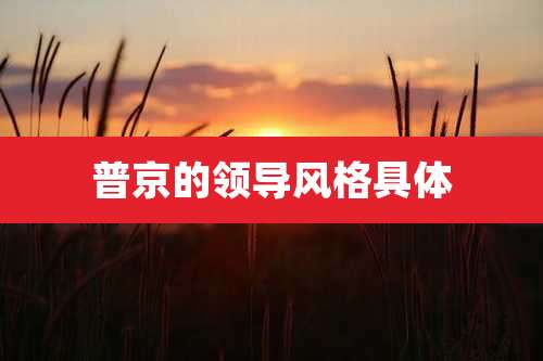 普京的领导风格具体