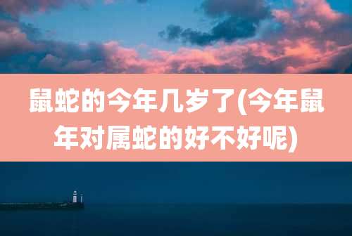 鼠蛇的今年几岁了(今年鼠年对属蛇的好不好呢)