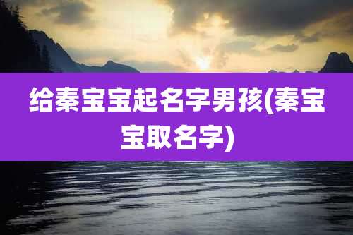 给秦宝宝起名字男孩(秦宝宝取名字)