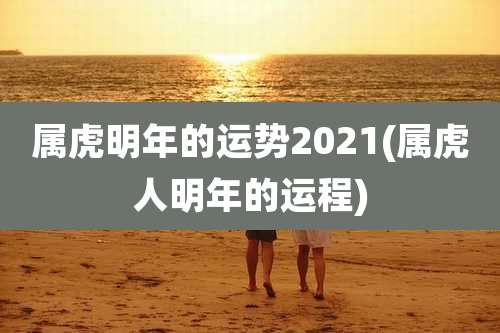 属虎明年的运势2021(属虎人明年的运程)