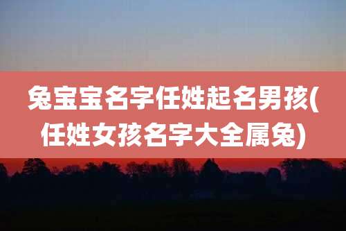 兔宝宝名字任姓起名男孩(任姓女孩名字大全属兔)