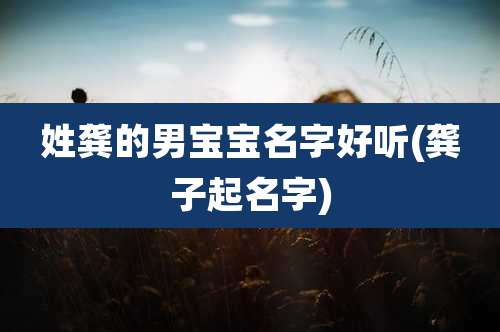 姓龚的男宝宝名字好听(龚子起名字)