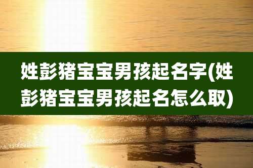 姓彭猪宝宝男孩起名字(姓彭猪宝宝男孩起名怎么取)