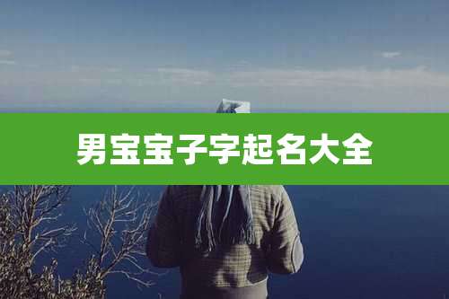 男宝宝子字起名大全