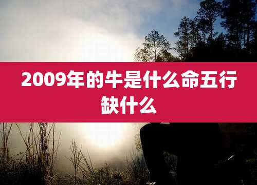 2009年的牛是什么命五行缺什么