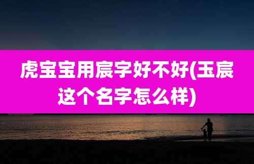 虎宝宝用宸字好不好(玉宸这个名字怎么样)