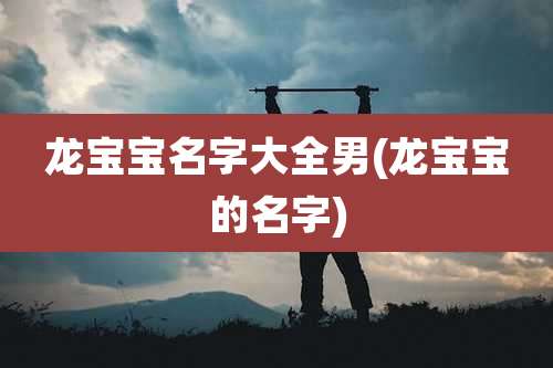 龙宝宝名字大全男(龙宝宝的名字)
